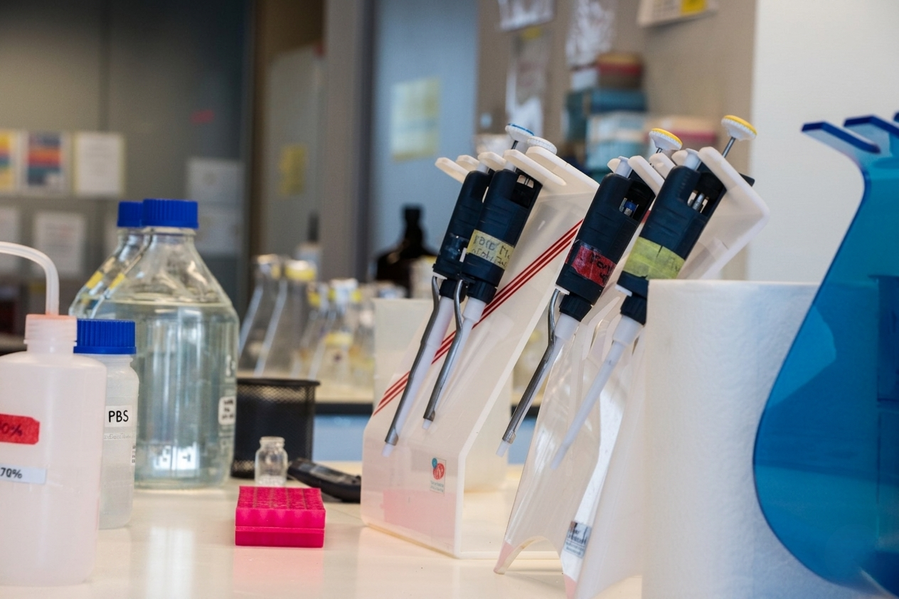 Laboratorio de Fermentación e Ingeniería Metabólica