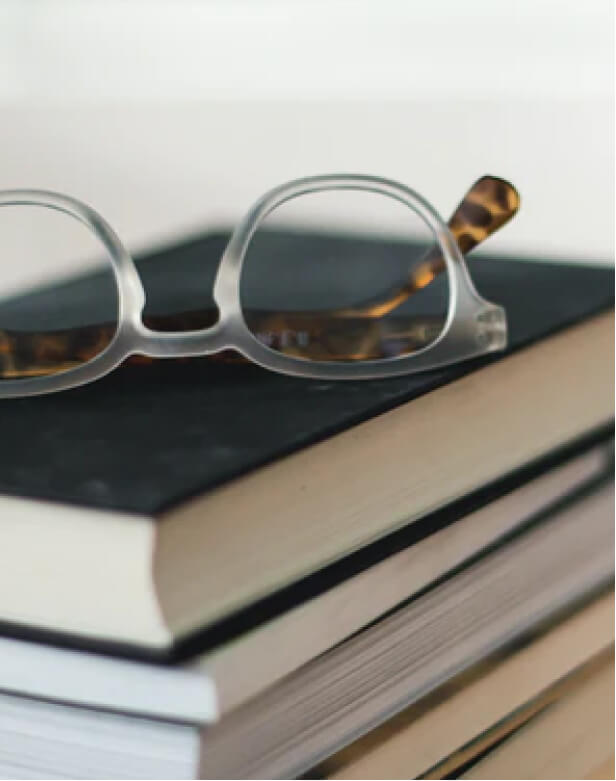 Académicos/as e investigadores/as