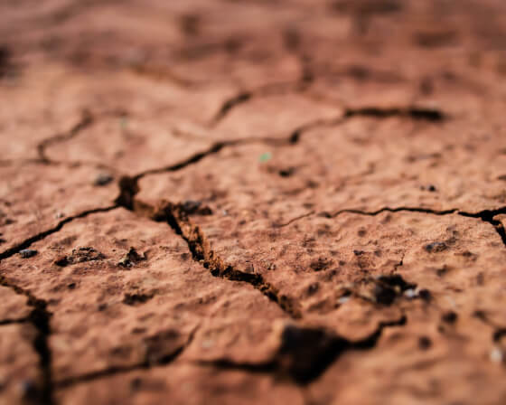 Beauchef cambio climático
